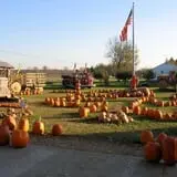 Maxwell's Pumpkin Farm photo