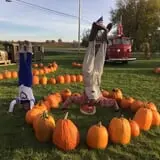 Maxwell's Pumpkin Farm photo