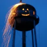 Maxwell's Pumpkin Farm photo