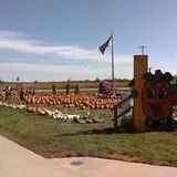 Maxwell's Pumpkin Farm photo