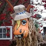 Maxwell's Pumpkin Farm photo