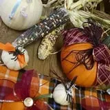 Maxwell's Pumpkin Farm photo