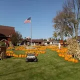 Maxwell's Pumpkin Farm photo