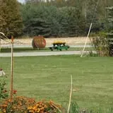 Maxwell's Pumpkin Farm photo