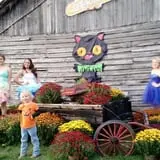 Maxwell's Pumpkin Farm photo