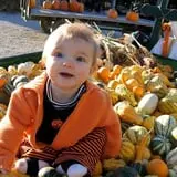 Maxwell's Pumpkin Farm photo