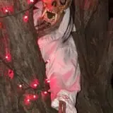 Dark Hollow Manor photo