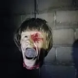 Aberdeen Haunted Forest photo