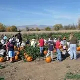 Munson Farms photo