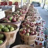 Dutch Farm Market photo