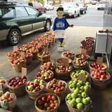 Dutch Farm Market photo