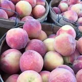 Dutch Farm Market photo