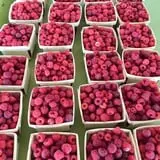 Dutch Farm Market photo