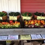 Dutch Farm Market photo
