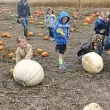 Hoefling's Pumpkin Patch & Corn Maze photo