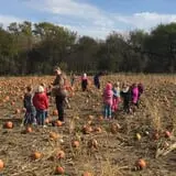 Hoefling's Pumpkin Patch & Corn Maze photo