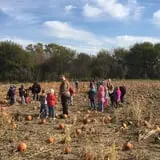 Hoefling's Pumpkin Patch & Corn Maze photo