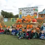 Hoefling's Pumpkin Patch & Corn Maze photo