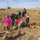 Hoefling's Pumpkin Patch & Corn Maze photo