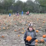 Hoefling's Pumpkin Patch & Corn Maze photo