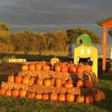 Hoefling's Pumpkin Patch & Corn Maze photo