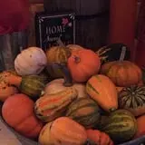 Hoefling's Pumpkin Patch & Corn Maze photo