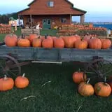 Hoefling's Pumpkin Patch & Corn Maze photo