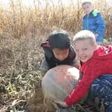 Hoefling's Pumpkin Patch & Corn Maze photo