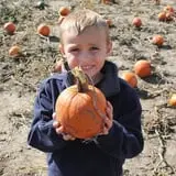 Hoefling's Pumpkin Patch & Corn Maze photo