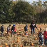Hoefling's Pumpkin Patch & Corn Maze photo
