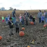 Hoefling's Pumpkin Patch & Corn Maze photo