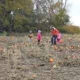 Hoefling's Pumpkin Patch & Corn Maze photo