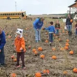 Hoefling's Pumpkin Patch & Corn Maze photo