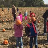 Hoefling's Pumpkin Patch & Corn Maze photo