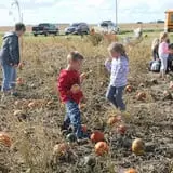 Hoefling's Pumpkin Patch & Corn Maze photo