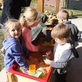 Hoefling's Pumpkin Patch & Corn Maze photo