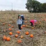 Hoefling's Pumpkin Patch & Corn Maze photo