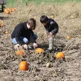 Hoefling's Pumpkin Patch & Corn Maze photo