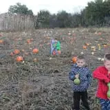 Hoefling's Pumpkin Patch & Corn Maze photo
