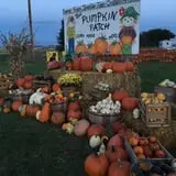 Hoefling's Pumpkin Patch & Corn Maze photo