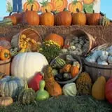 Hoefling's Pumpkin Patch & Corn Maze photo