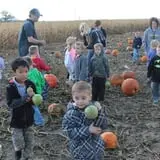 Hoefling's Pumpkin Patch & Corn Maze photo
