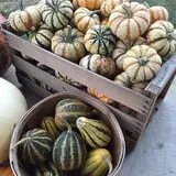 Hoefling's Pumpkin Patch & Corn Maze photo