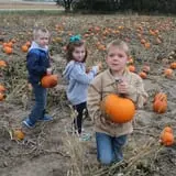 Hoefling's Pumpkin Patch & Corn Maze photo