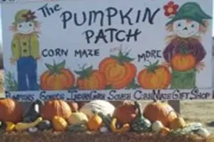 Hoefling's Pumpkin Patch & Corn Maze