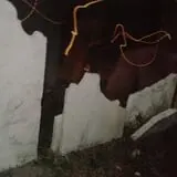 ,