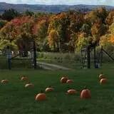 Hilltop Hanover Farm photo
