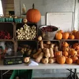 Hilltop Hanover Farm photo