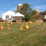 Hilltop Hanover Farm photo