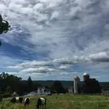 Hilltop Hanover Farm photo